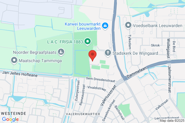 Fysiotherapie Langendijk