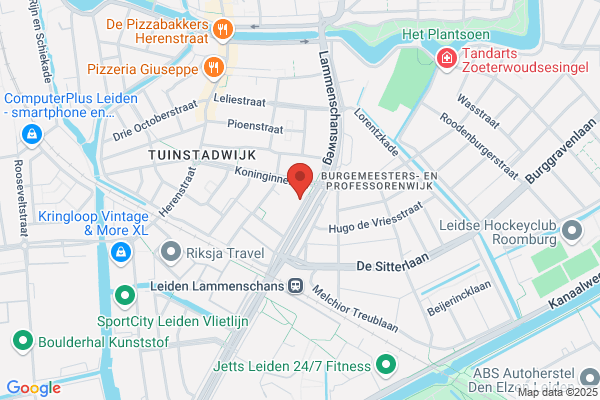 Acupunctuur-Leiden