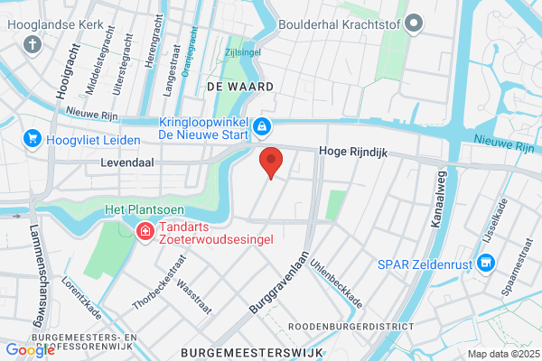 Public Affairs, Praktijk Voor