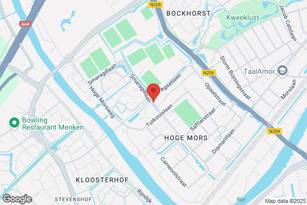 Turkooizen Dolfijn, De