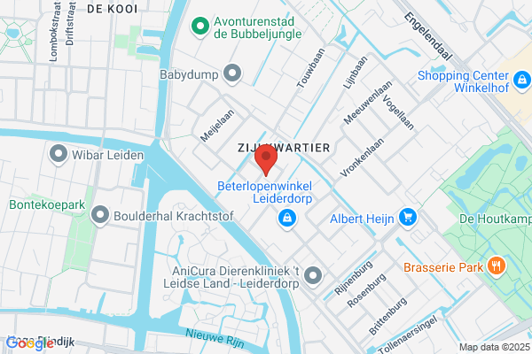 A C H Sneltekenaar/ Karikaturist