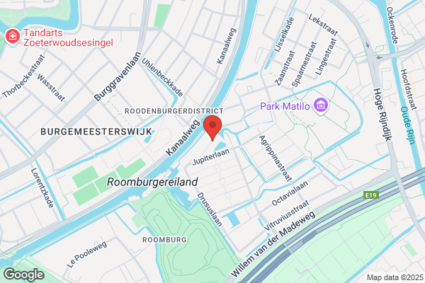 De Rijnsons