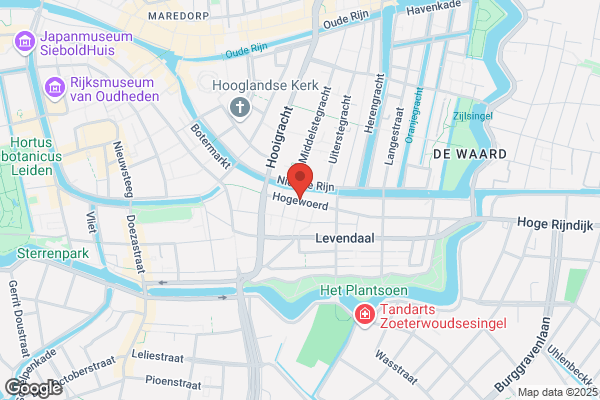 Jong, De