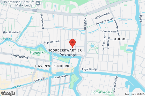 De Dolfijn