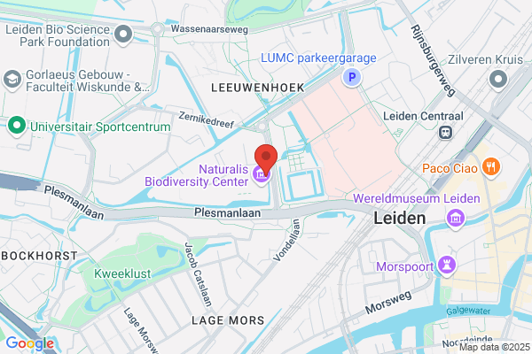 Berckheijde Bv