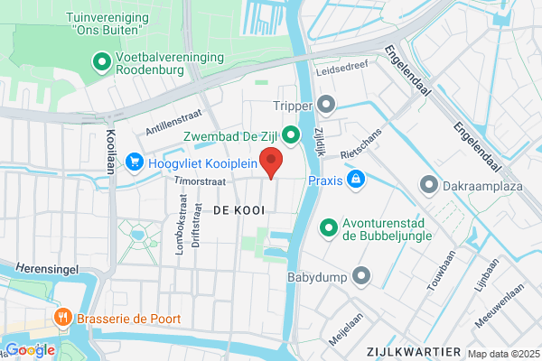 Nederlandse Veiligheidsdienst Techniek Bv