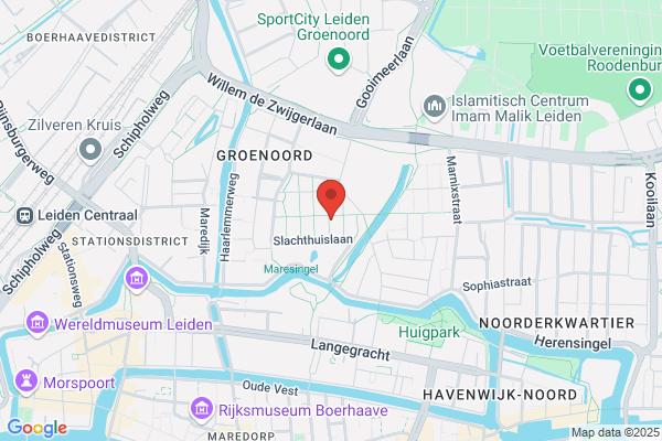 Jong, De