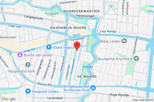 Leids Inst Voor Cultuurstudies