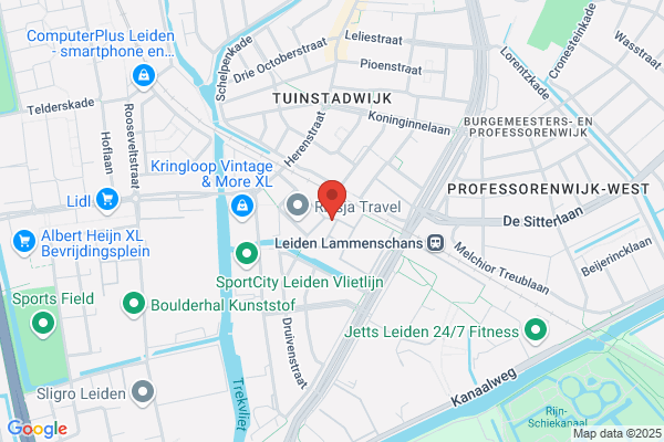 Nederlands Taleninstituut