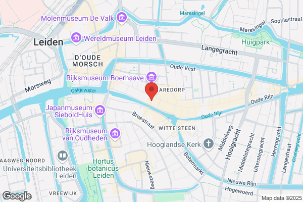 Brandnetel