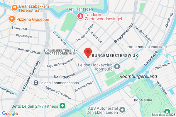 Patiënten Consumenten Platform Zhn