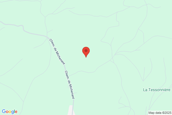 Michevin
