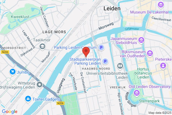 Stokpaardje, Het