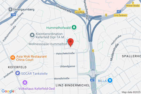 Hummelhof, De