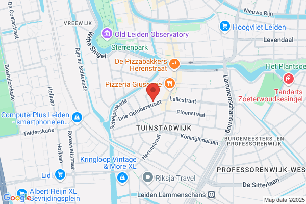 Konijn, Het