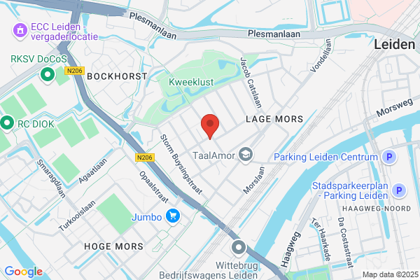 Leesvlinder De