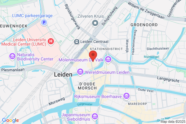 Domino's Pizza Leiden - Stationsweg - Centrum