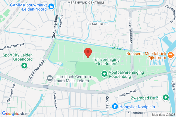 Vuurvogel, De