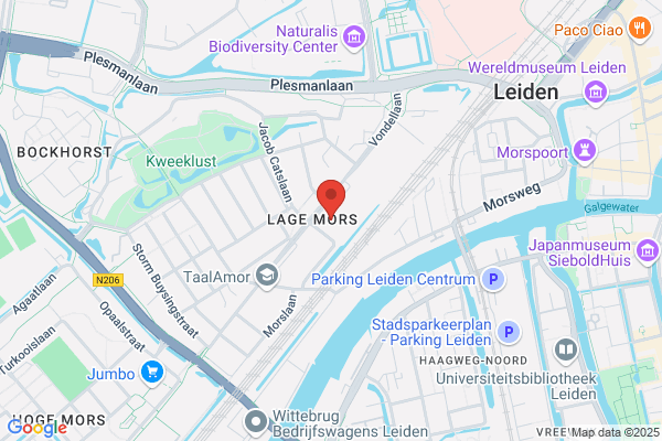Yang-Stijl Tai-Chi Leiden