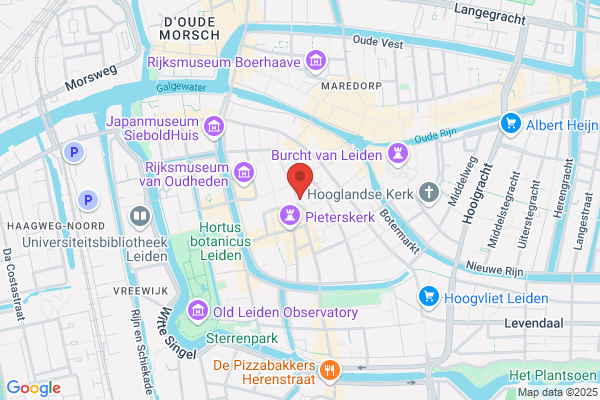 Nestor Network Consultancy