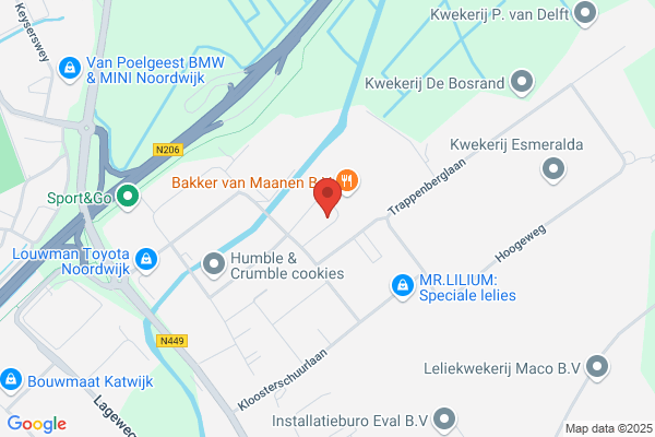 Van Der Steen En Wassenaar Bv
