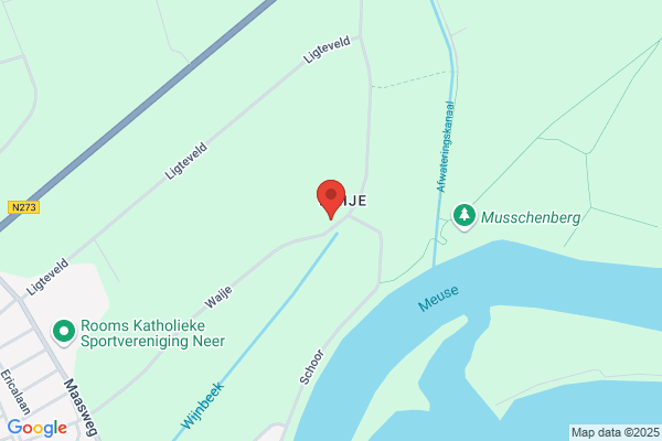 Apex Vertalingen En Tekstredaktie