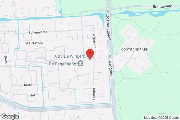 Wingerd, De