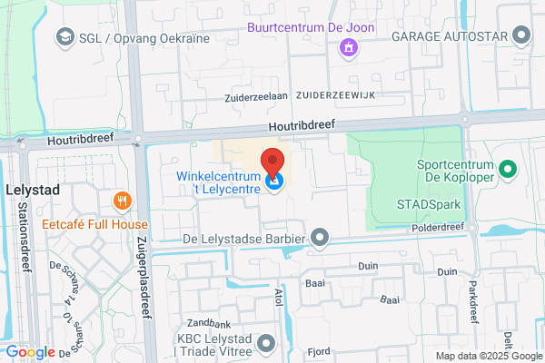 Ing. D. Koopmans