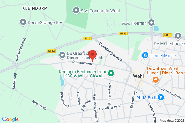 Fysiotherapie Wehl-Beek