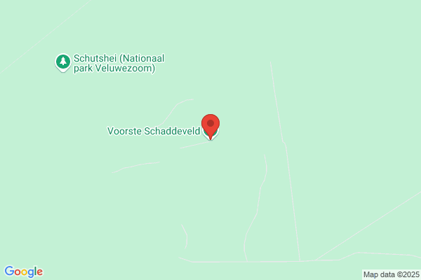 Schaddeveld