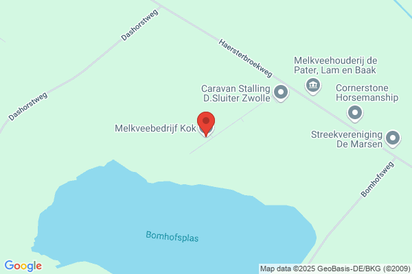 Kok Rietdekkersbedrijf Zwolle