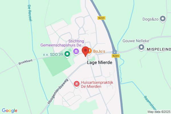 Laureijs, P J T M