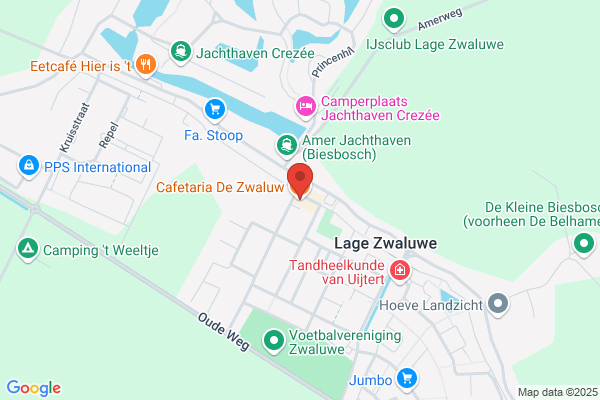 Zwaluw, De
