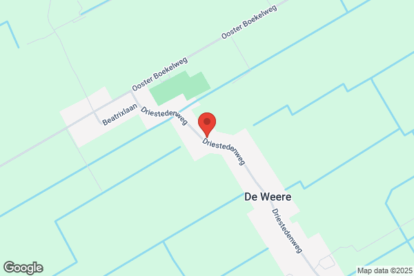 F Konijn