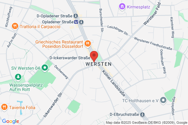 Steins, P G
