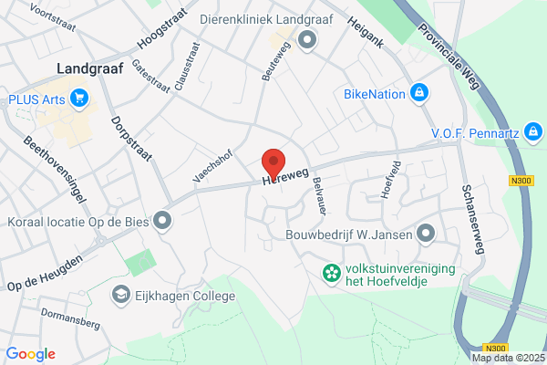 Fysiotherapie Hereweg