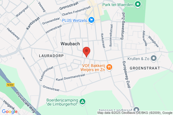 Weyts, P