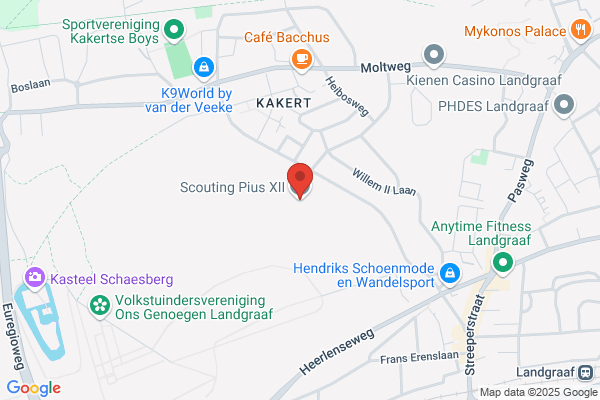 Alles Ki(D)ts