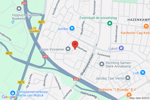 H.M.A. Vliegen