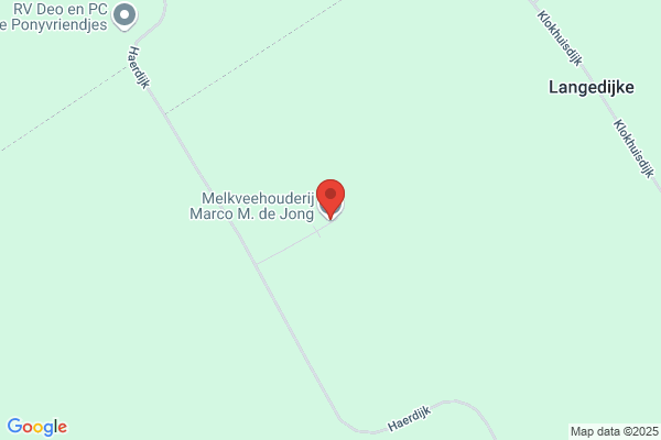 Jong, De