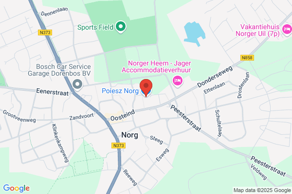 Norg-Peize