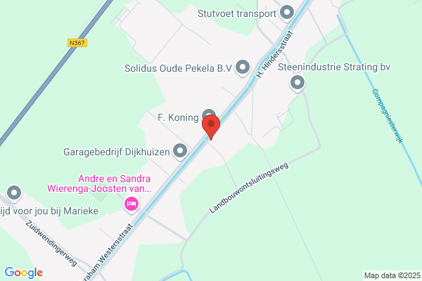 Roelfsema W J En Zijl A Vd
