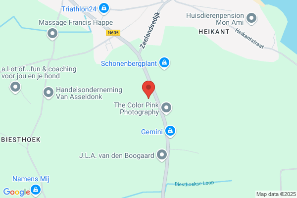 Champignonkwekerij Smits En Bouw Cv