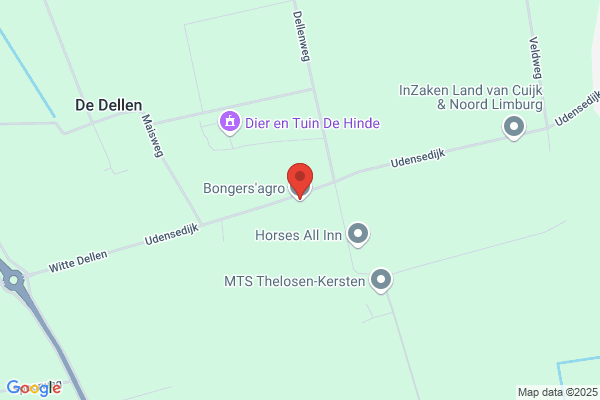 Wijst-Bongers Bv, J Van Der