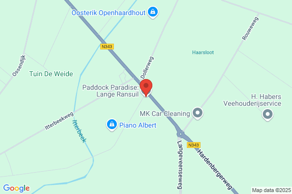 Paraad