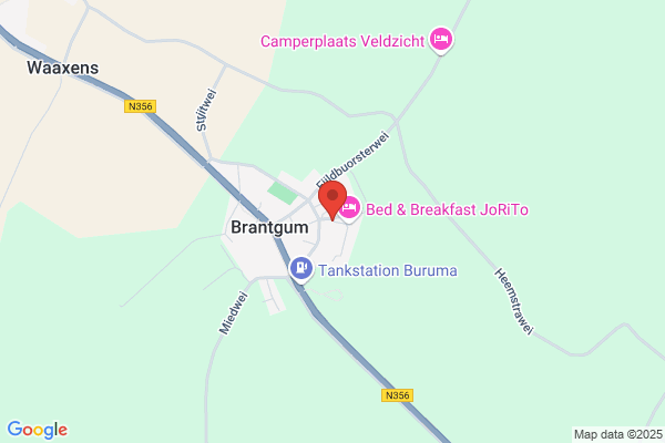 Tjitske Bruinsma, Zorgconsult