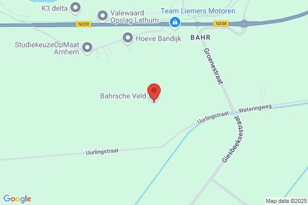 Bosveld