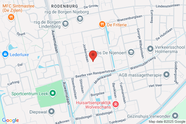 Haan Leek, Stukadoorsbedrijf