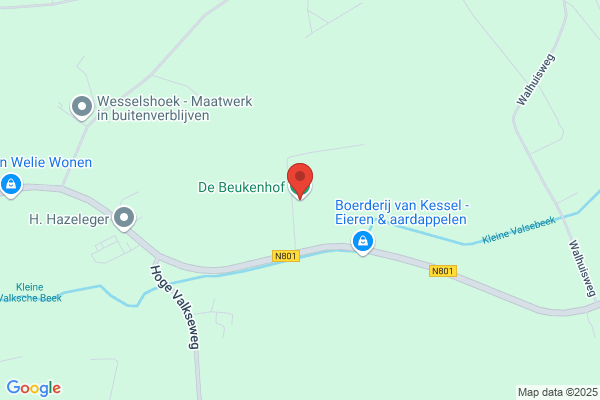 't Beukenhof