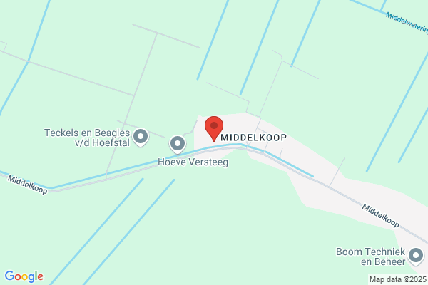Versluijs, G